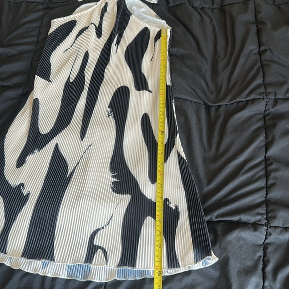 Black and Beige Pleated Mini Dress - Picture 5 of 7